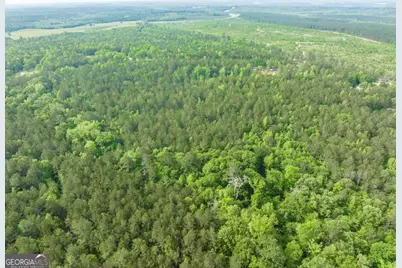 2140 Nesmith Road SW, Gordon, GA 31031 - Photo 4