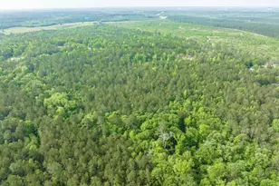 2140 Nesmith Road SW, Gordon, GA 31031 - Photo 4