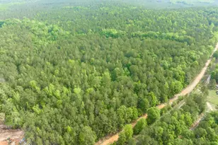 2140 Nesmith Road SW, Gordon, GA 31031 - Photo 8