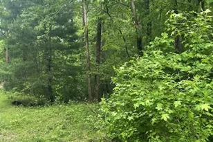 0 McCormick Dr, Dawsonville, GA 30534 - Photo 1