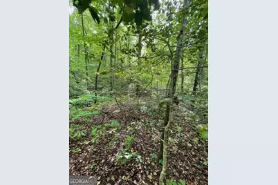 0 McCormick Drive, Dawsonville, GA 30534 - Photo 6