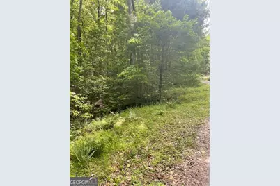 0 McCormick Drive, Dawsonville, GA 30534 - Photo 2