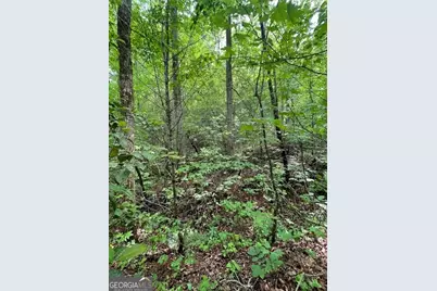 0 McCormick Drive, Dawsonville, GA 30534 - Photo 10