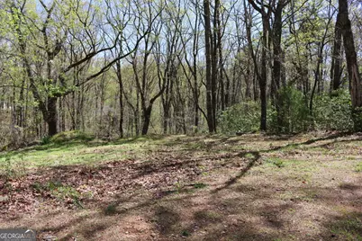 0 Spring Crest Road, Cleveland, GA 30528 - Photo 4