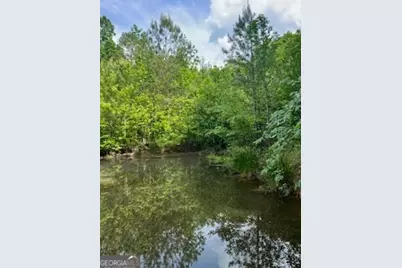 376 Paoli Road, Carlton, GA 30627 - Photo 52