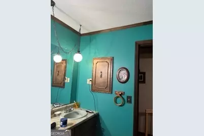 376 Paoli Road, Carlton, GA 30627 - Photo 32