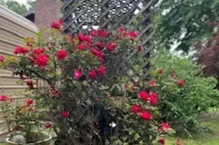 376 Paoli Rd, Carlton, GA 30627 - Photo 2