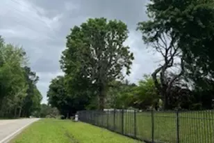 376 Paoli Rd, Carlton, GA 30627 - Photo 6