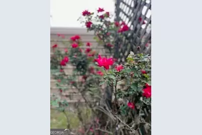 376 Paoli Road, Carlton, GA 30627 - Photo 44