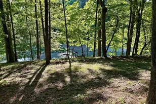 353 Bow Dr, Lavonia, GA 30553 - Photo 16