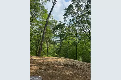 324 Adair Drive, Ranger, GA 30734 - Photo 8