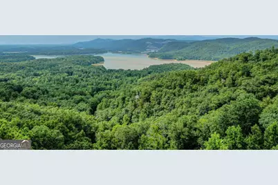 324 Adair Drive, Ranger, GA 30734 - Photo 12