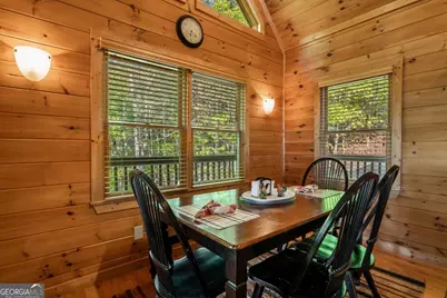 433 Spruce Circle, Mineral Bluff, GA 30559 - Photo 20