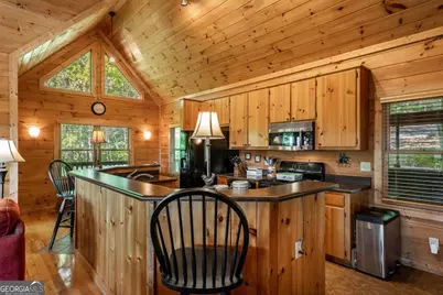 433 Spruce Circle, Mineral Bluff, GA 30559 - Photo 20