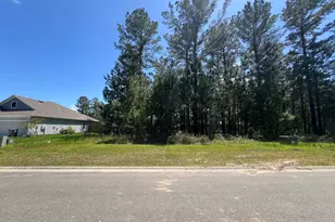 143 Breakwater Loop, Kingsland, GA 31548 - Photo 1