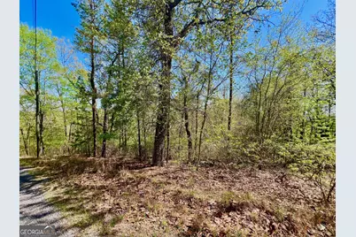 691 Railey Ridge Lane, Ranger, GA 30734 - Photo 20