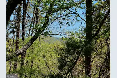 691 Railey Ridge Lane, Ranger, GA 30734 - Photo 2