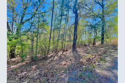 691 Railey Ridge Lane, Ranger, GA 30734 - Photo 22