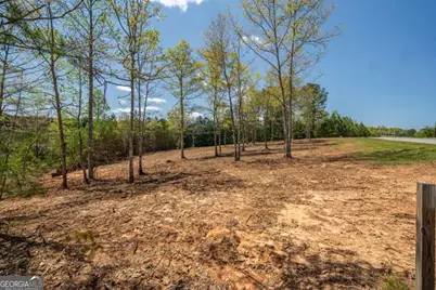 Lot 41 Sandy Lake Lane, Blairsville, GA 30512 - Photo 4