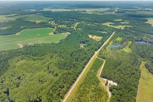 480 Best Bridge Rd, Sylvania, GA 30467 - Photo 46