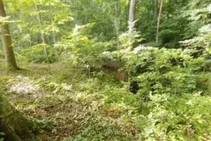 620 Ivy Creek Dr, Nicholson, GA 30565 - Photo 1