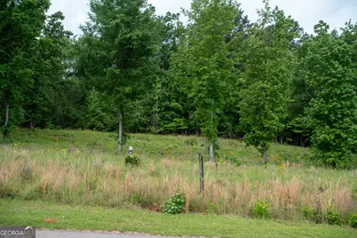 1200 Bayside Drive, Greensboro, GA 30642 - Photo 10