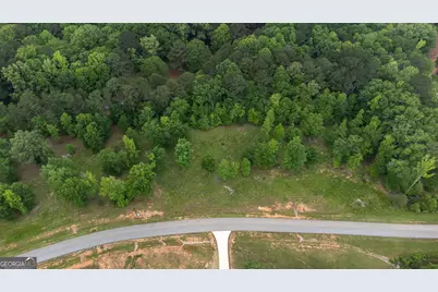 1200 Bayside Drive, Greensboro, GA 30642 - Photo 8