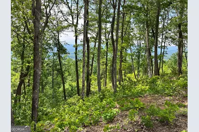 Lot 103 Highland Park, Blairsville, GA 30512 - Photo 4