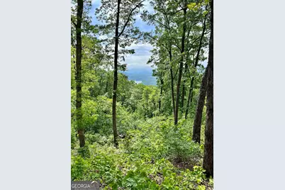 Lot 103 Highland Park, Blairsville, GA 30512 - Photo 2