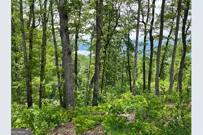 Lot 103 Highland Park, Blairsville, GA 30512 - Photo 10