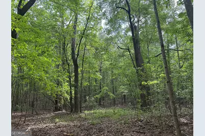 5245 Veal Road, Fairburn, GA 30213 - Photo 8