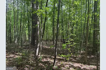 5245 Veal Road, Fairburn, GA 30213 - Photo 4