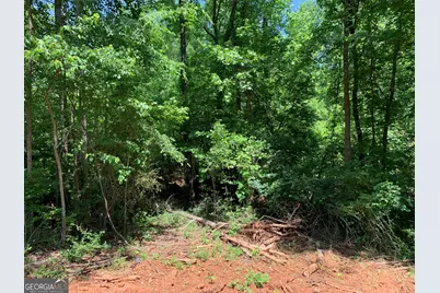 1030 Chambers Court, Watkinsville, GA 30677 - Photo 4