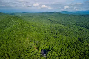 714 Scouts Overlook, Morganton, GA 30560 - Photo 48