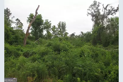 08600008T6 Hayride Road, Lumber City, GA 31549 - Photo 4