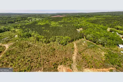324 Acres Hunsinger Road, Shiloh, GA 31826 - Photo 18