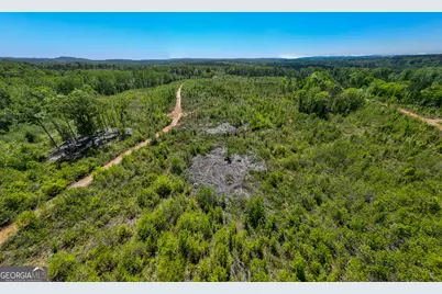 324 Acres Hunsinger Road, Shiloh, GA 31826 - Photo 24