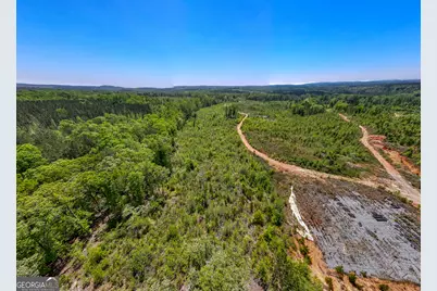 324 Acres Hunsinger Road, Shiloh, GA 31826 - Photo 22