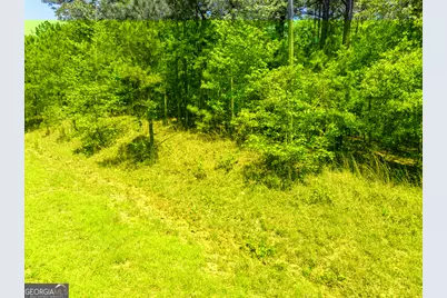 324 Acres Hunsinger Road, Shiloh, GA 31826 - Photo 58