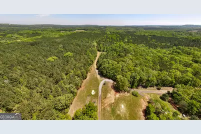 324 Acres Hunsinger Road, Shiloh, GA 31826 - Photo 20