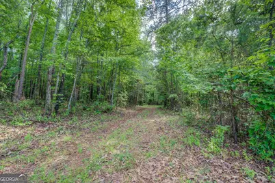 20207 Ga Highway 11 N, Monticello, GA 31064 - Photo 152