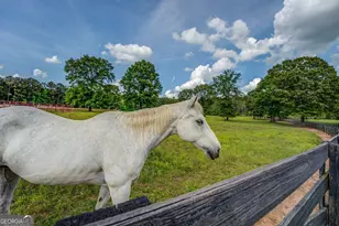 20207 Ga Hwy 11 N, Monticello, GA 31064 - Photo 130