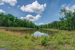 20207 Ga Hwy 11 N, Monticello, GA 31064 - Photo 156