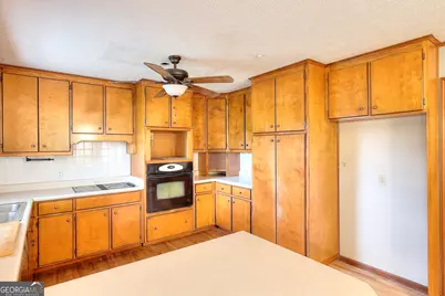 4000 Georgia 15, Greensboro, GA 30642 - Photo 8