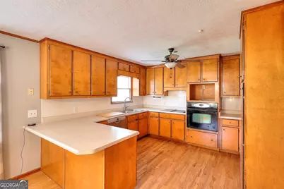 4000 Georgia 15, Greensboro, GA 30642 - Photo 6