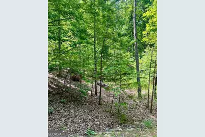 220 Yanegwa Knoll, Dawsonville, GA 30534 - Photo 6