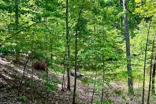 220 Yanegwa Knoll, Dawsonville, GA 30534 - Photo 6