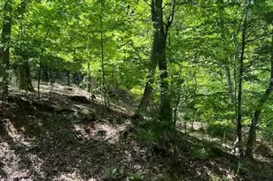 220 Yanegwa Knoll, Dawsonville, GA 30534 - Photo 10