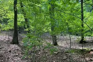 220 Yanegwa Knoll, Dawsonville, GA 30534 - Photo 4