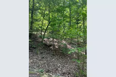 220 Yanegwa Knoll, Dawsonville, GA 30534 - Photo 8